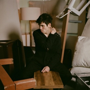 FALLEN LEAVES - Single