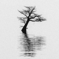 Emotions - EP - leverage & Lil Capo