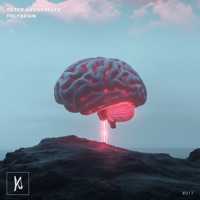 Polybrain - Single - Peter Groskreutz