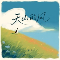 天山的风 - Single - 迪力