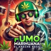 Fumo Marihuana - Single