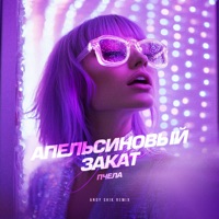 Апельсиновый закат (Andy Shik Remix) - Single - Пчела