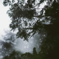 Soundscapes - Single - Sappheiros