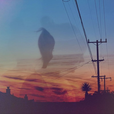 Illusory Palinopsia (feat. Zax Avila) - Single