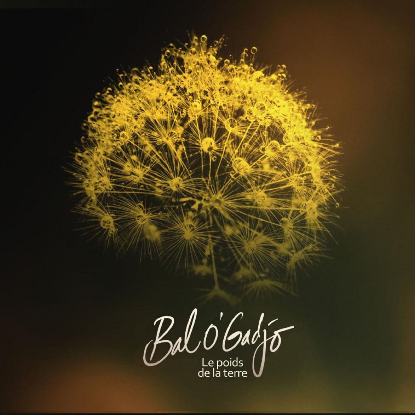 Le poids de le terre