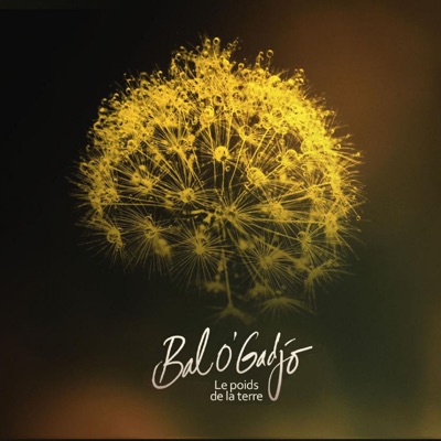 Le poids de le terre