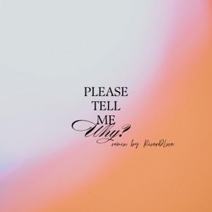 Please Tell Me Why (Short Mix)