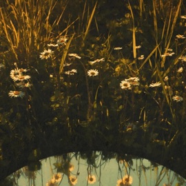 never let you go JAYY & Titus Haskins