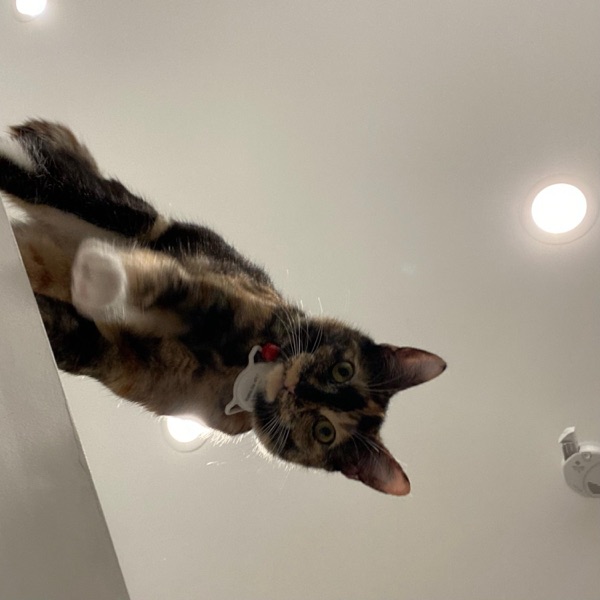 Maniac