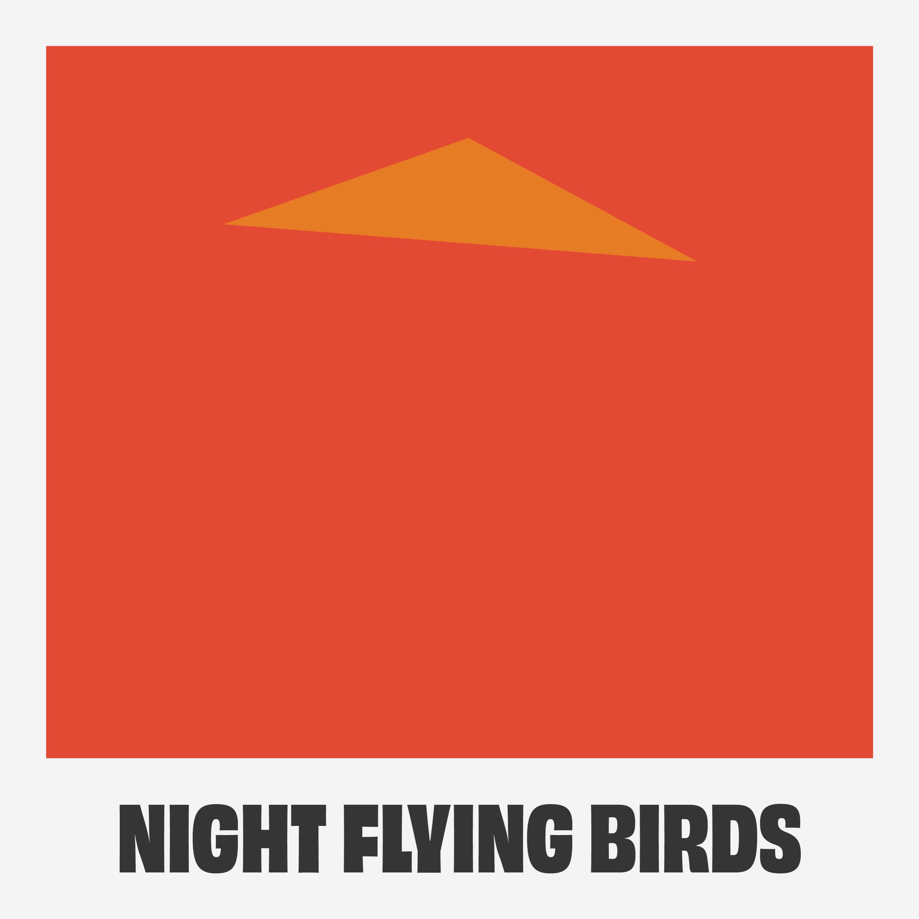 Night Flying Birds - Single