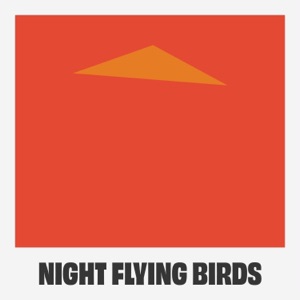 Night Flying Birds - Single