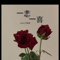 一悲一喜 - Single - pro & 王琪琪