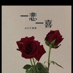 一悲一喜 - Single