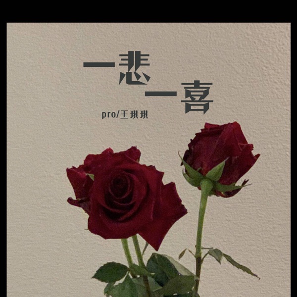 一悲一喜 - Single