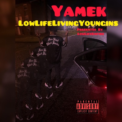 LowLifeLivingYoungins