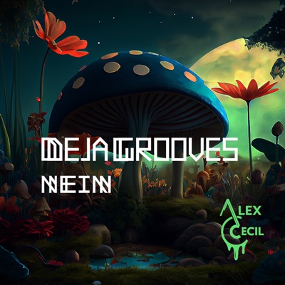 Deja Grooves - Single