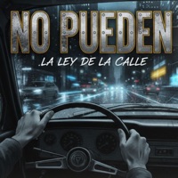 NO PUEDEN - Single - Ridelfi Slayer