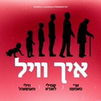 Ich Vill - Single - Shmili Landau, Ari Samet & Chilly Wagschal