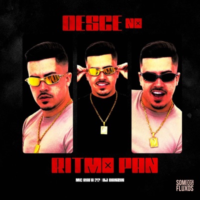 Desce no Ritmo do Pam - Single