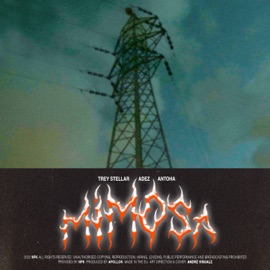 mimosa Adez, Antoha & Trey Stellar