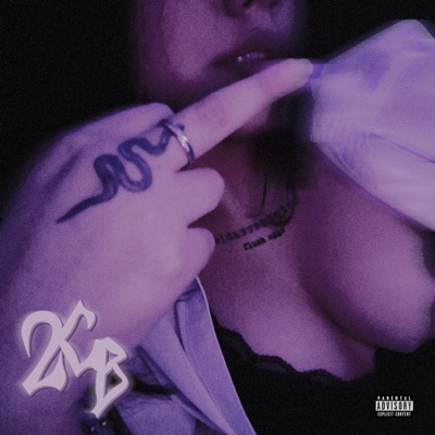 2Cb (feat. ddracokidd, Pedro FC & JVMEXXX) - Single