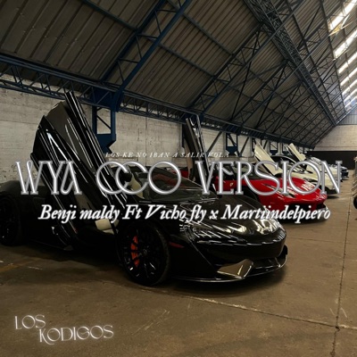 WYA CCO VRS (feat. vichofly & Martiindelpiero) - Single