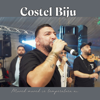 Costel Biju - Moved moved ce temperatura ai (Live) artwork