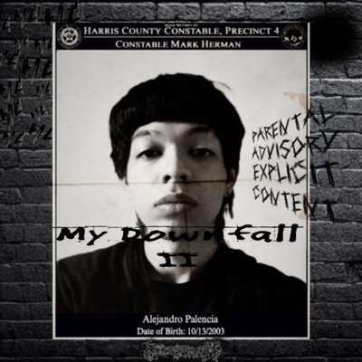 MY DOWNFALL II