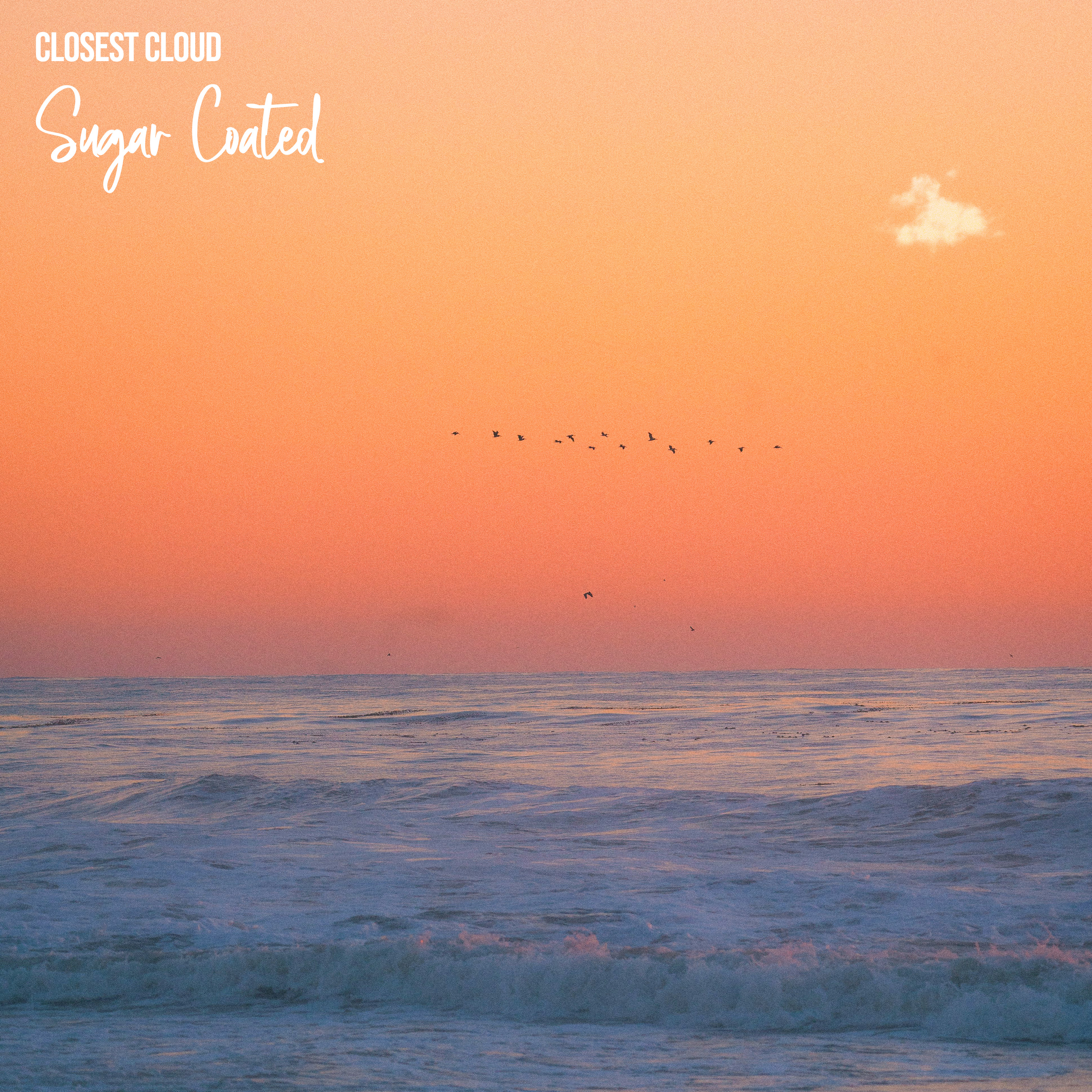 Sugar Coated - Single