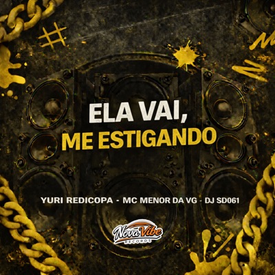 Ela Vai, Vai Me Estigando - Single
