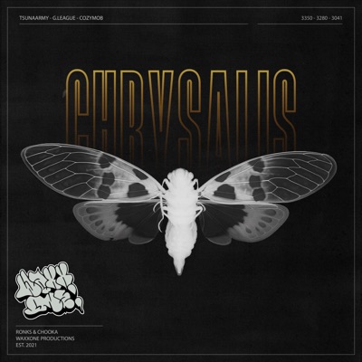 CHRYSALIS