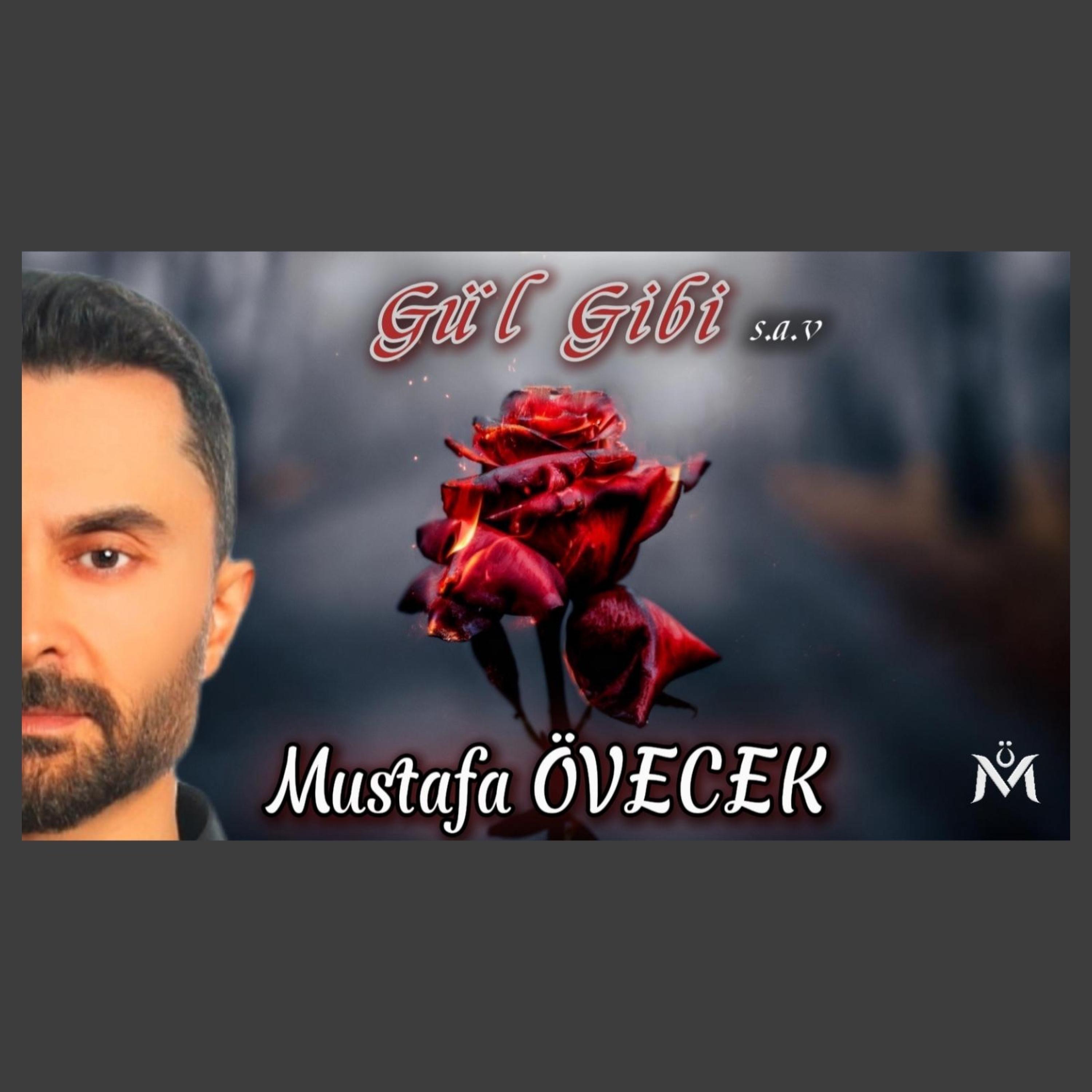 Gül Gibi - Single