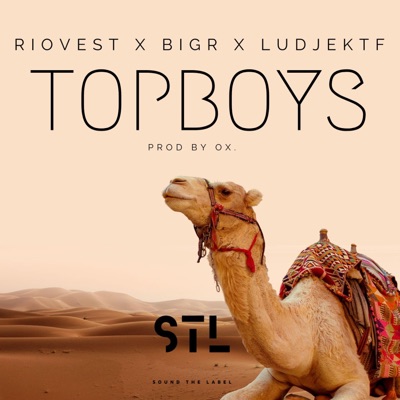 Topboys (feat. Ludje) - Single