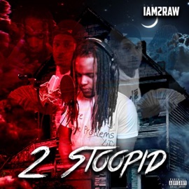 Next Up (feat. Stoopid Link & Mufasa) I AM 2 RAW