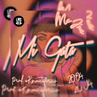 Mi Gata (feat. MetaStudio) - Single