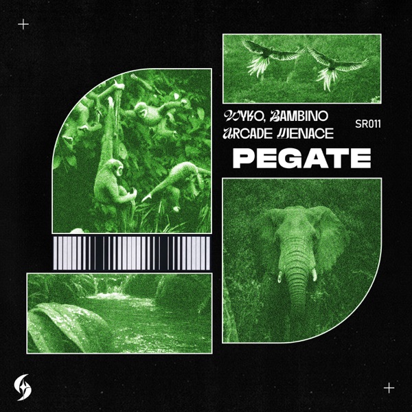 Pegate - Single