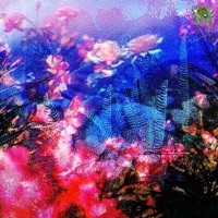 AGAIN - Single - Knox