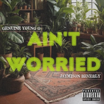 Ain't Worried (feat. Jaymison Beverly) - Single