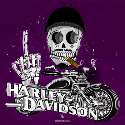 Harley Davidson - Single