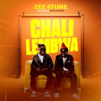 Chalilembwa (feat. Kayz Adams) - Single - Zee 4tune