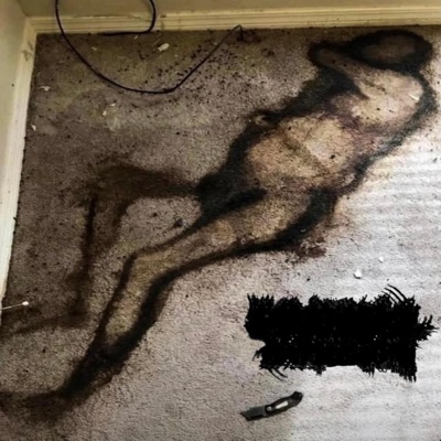 nauseating putrefaction (feat. bitter disdain) - Single