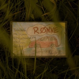 Skyene (feat. Tommy G & Lille P) Apple Fresh