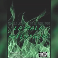 LA MALA INFLUENCIA (feat. MALNACIDO$ & TACHO) - Single - PURO ALOCAO 868