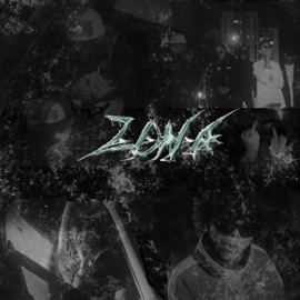 Zona Chico Triste, venegold, Dari Pain & Sucream