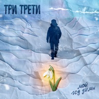 Мой год зимы - Single - Три Трети