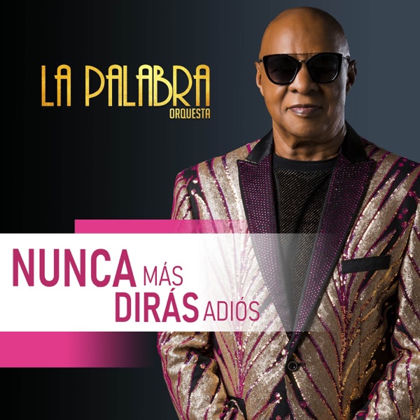 Nunca Más Dirás Adiós