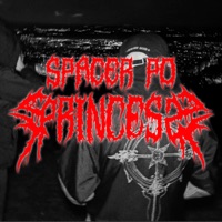 SPACER PO PRINCESS - Single - DELTO, Mitch Dope & DJ Decks