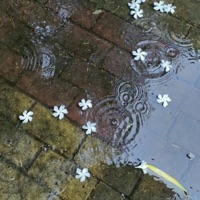 drunk text - Single - raine