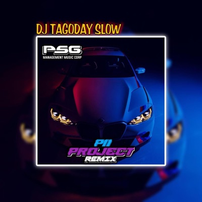 Petrus Sitohang - TAGODAY X PII PROJECT