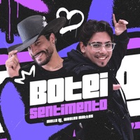 Botei Sentimento - Single - Mello DJ & Wesley Mattos